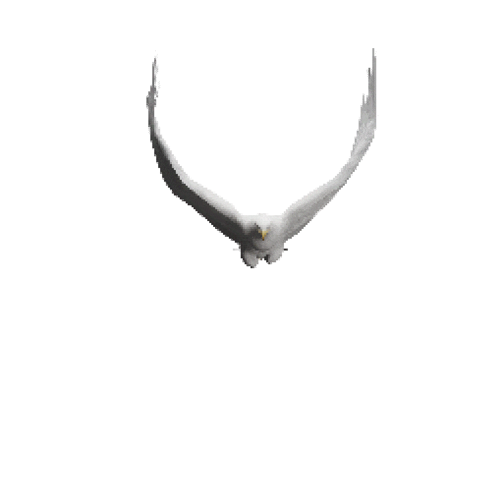 What Is It?